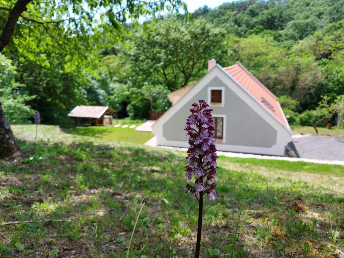 Apartament Kosbor Vendeghaz Monoszlo Zewnętrze zdjęcie