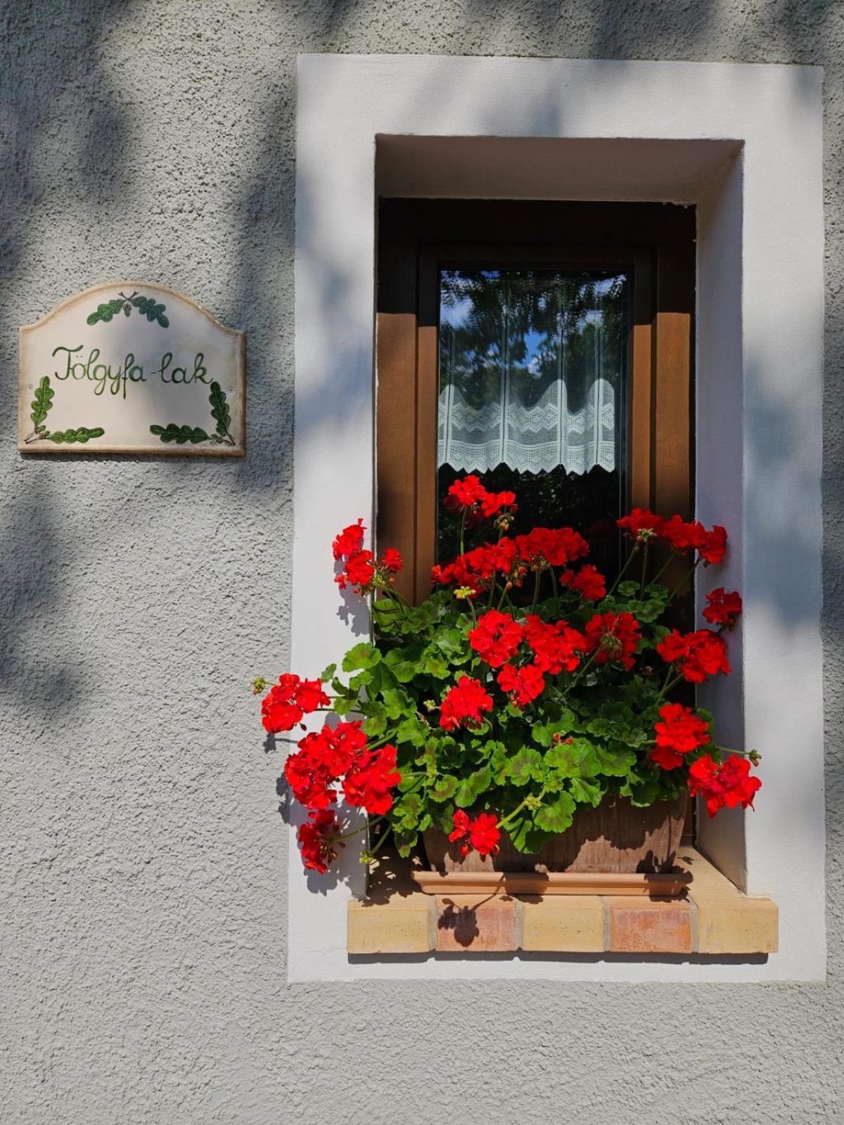 Apartament Kosbor Vendeghaz Monoszlo Zewnętrze zdjęcie